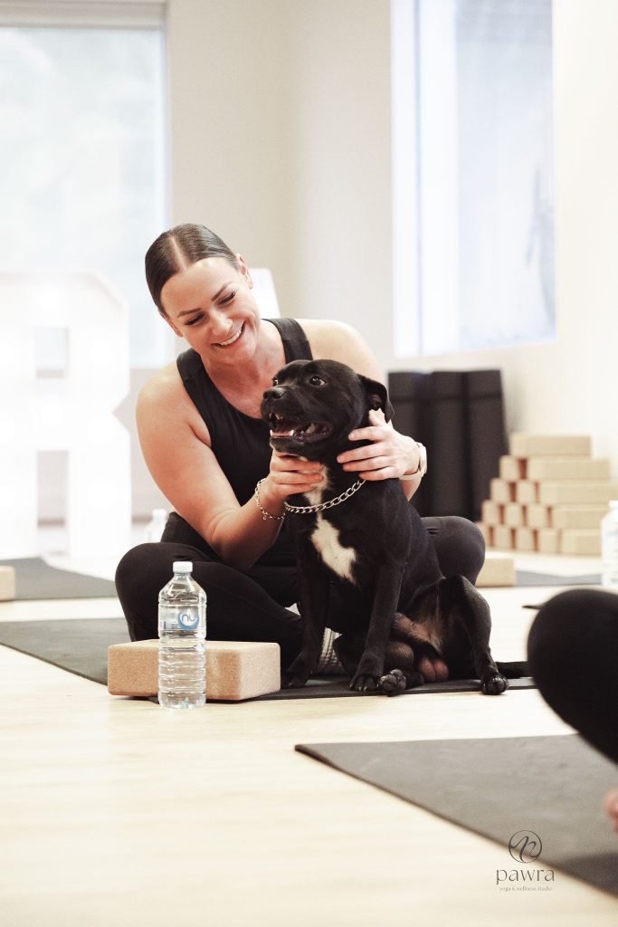 Woman laughing as she cuddles a black and white Staffordshire terrier at a Pawra class